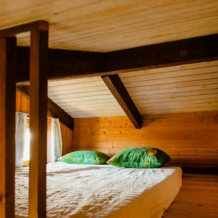 Family In Heather-clad Landscape * Fjerritslev